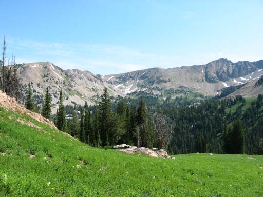 View of valley and grassy meadow from trail